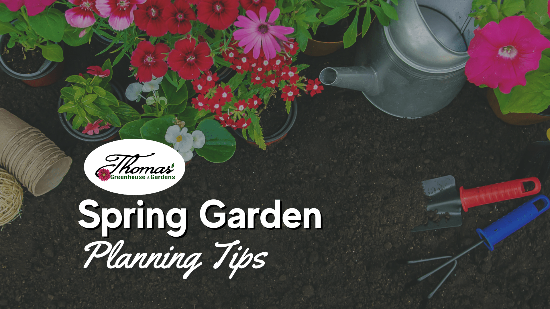 An overhead view of gardening tools, a metal watering can, biodegradable seedling pots, and vibrant blooming flowers arranged on rich, dark soil. A small trowel and hand rake with red and blue handles rest nearby. Overlaid text reads "Spring Garden Planning Tips," with the logo of "Thomas' Greenhouse & Gardens"