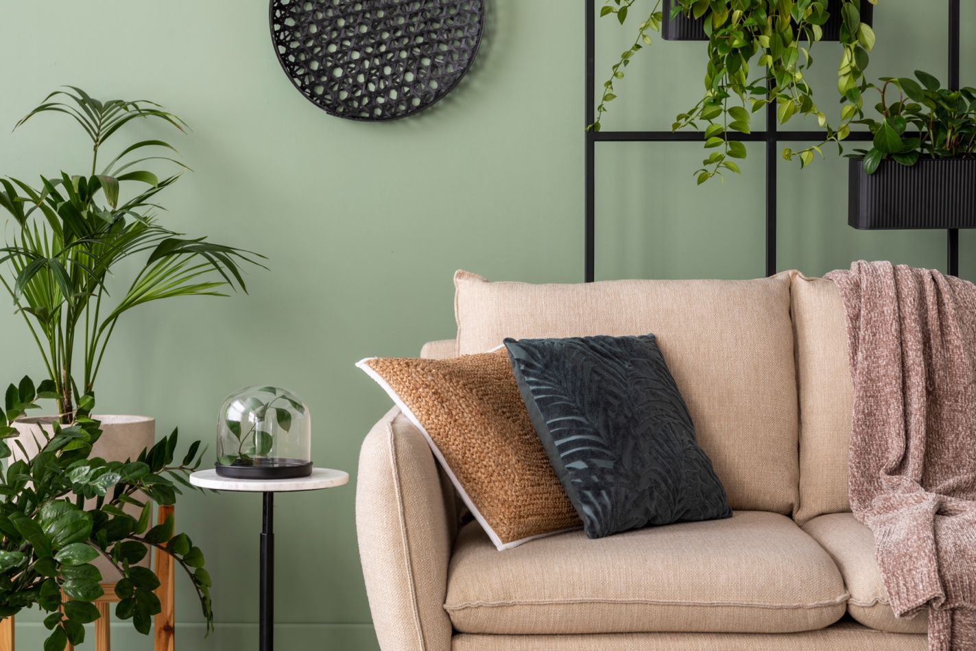 Modern living room with a beige sofa, decorative pillows, and assorted houseplants in pots and planters, creating a cozy and inviting indoor space.